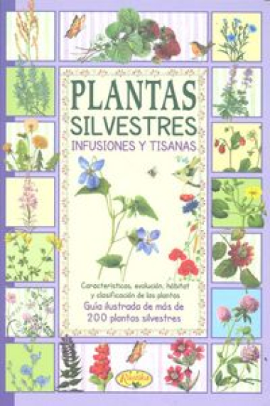 Plantas silvestres: infusiones y tisanas