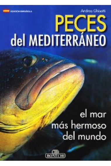 Peces del mediterráneo. El mar más hermoso del mundo