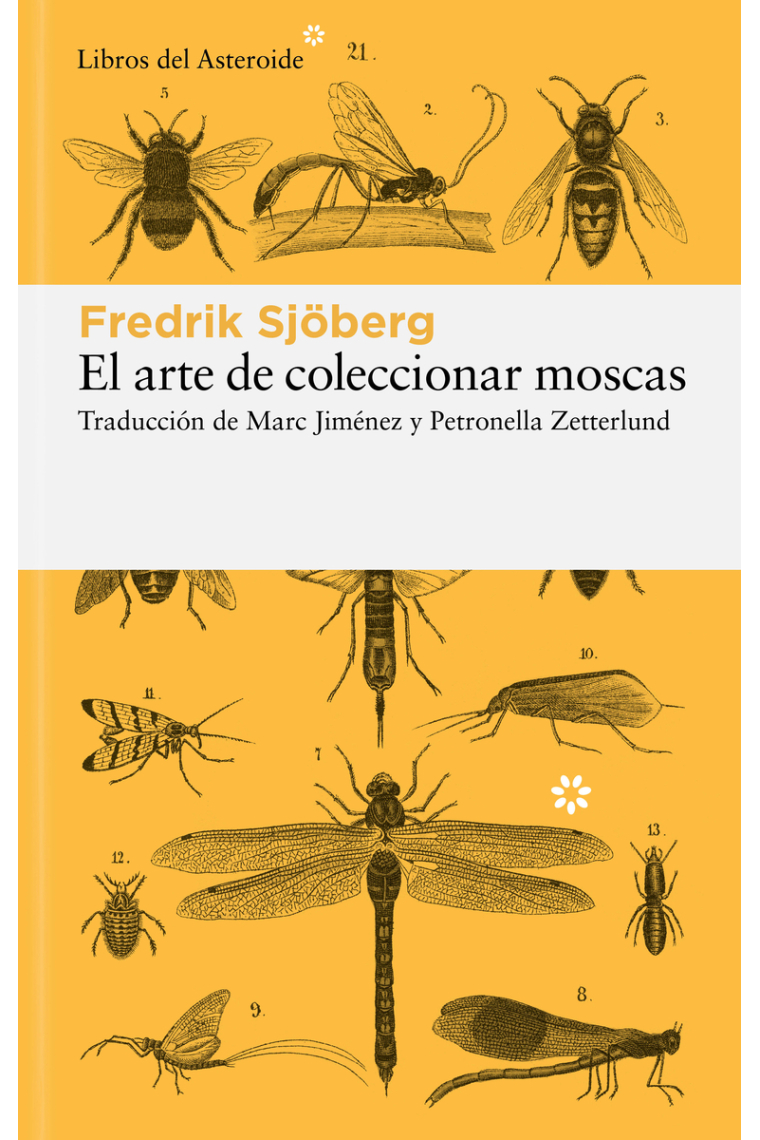 El arte de coleccionar moscas