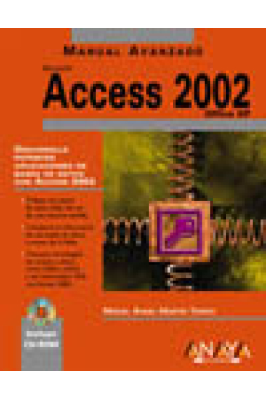 Manual avanzado Access 2002