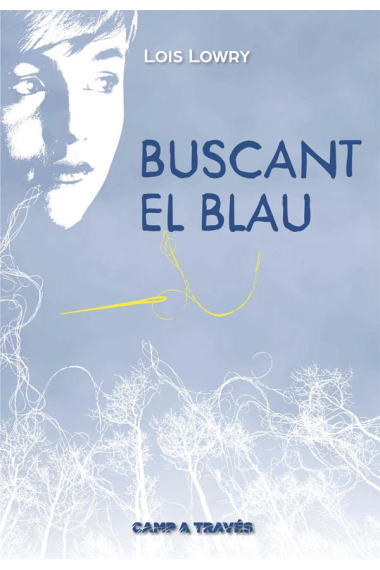 Buscant el blau