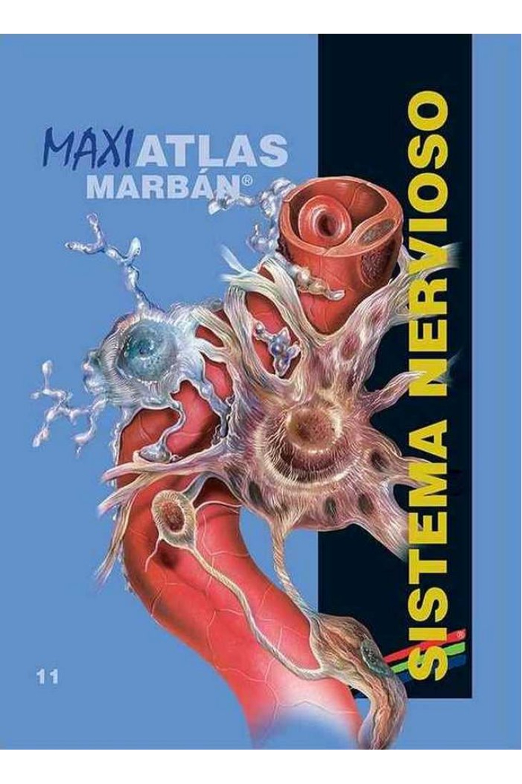 Maxi Atlas 11 Sistema Nervioso