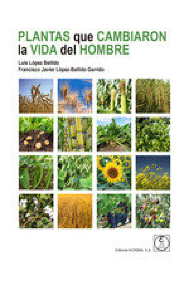 Plantas que cambiaron la vida del hombre