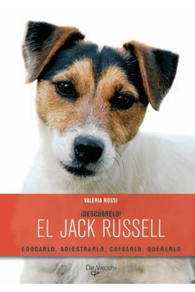 El jack Russell