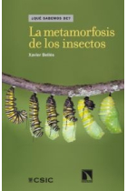 La metamorfosis de los insectos