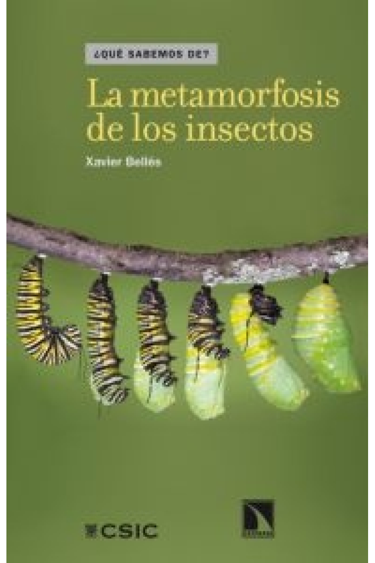 La metamorfosis de los insectos