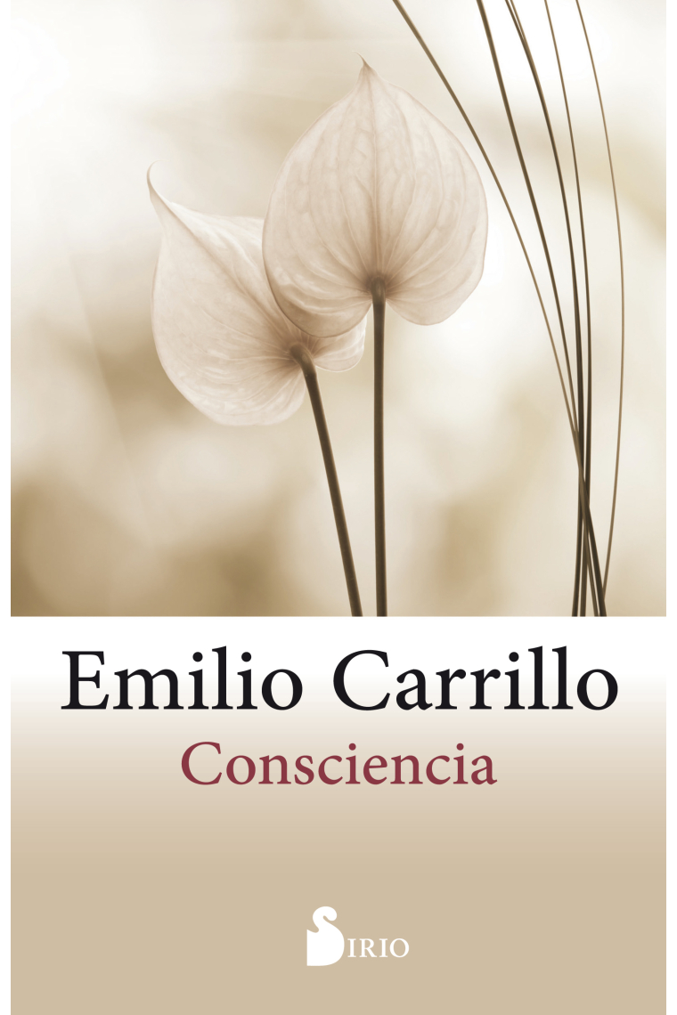 Consciencia