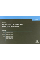 Esquemas de derecho procesal laboral IV