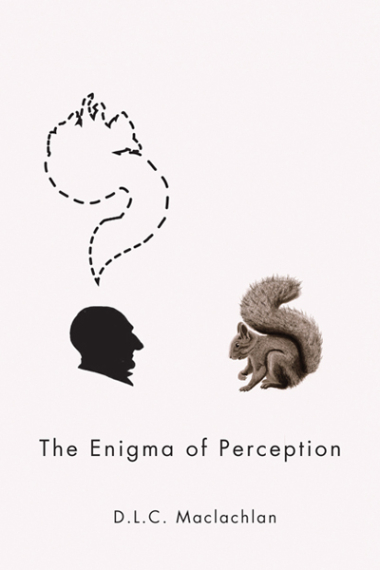 The enigma of perception