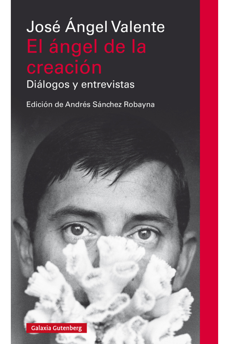 El ángel de la creación (Diálogos y entrevistas)