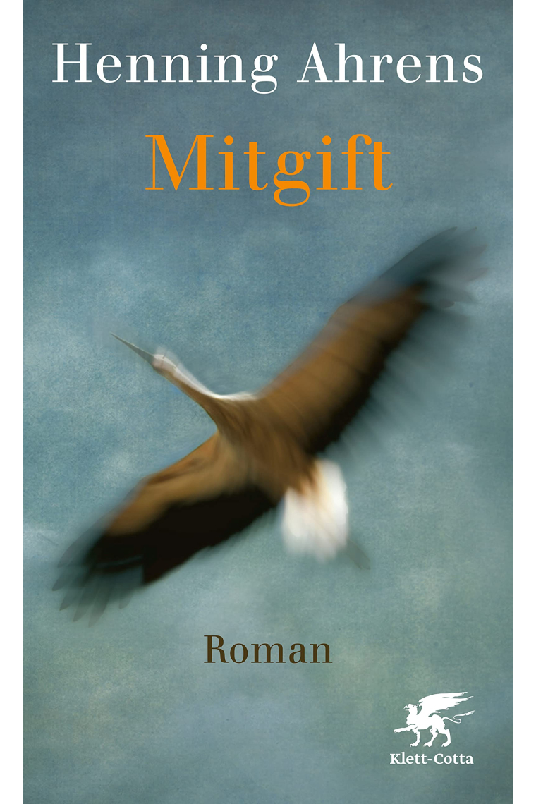 Mitgift: Roman