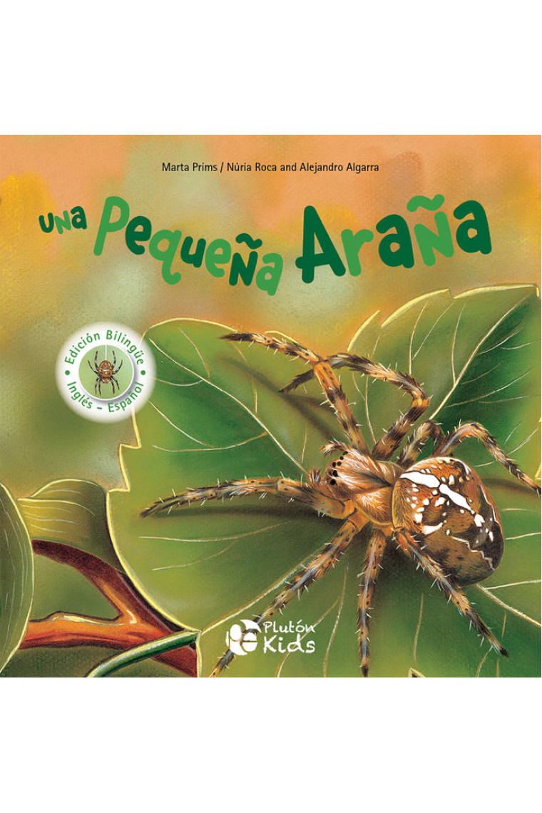 UNA PEQUEÑA ARAÑA