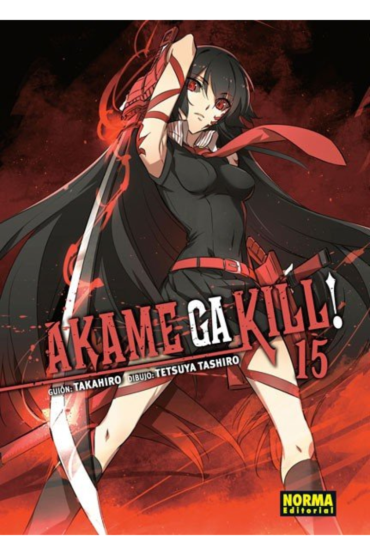 Akame Ga Kill! 15