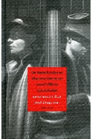 De Nederlandse en vlaamse Literatuur vanaf 1880 in 25o verhalen