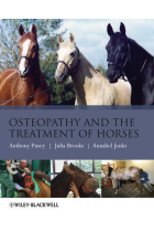 OSTEOPATHY TREATMENT HORSES