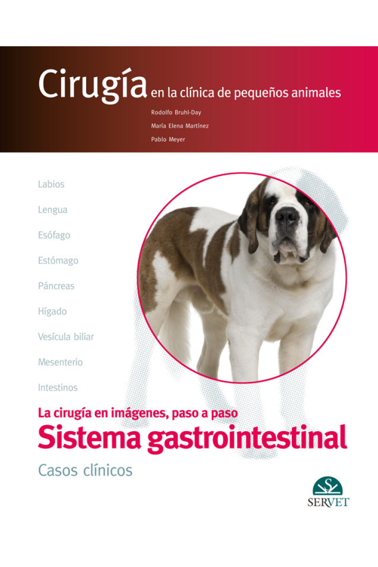 El aparato digestivo. CASOS CLÍNICOS. Cirugía en la clínica de pequeños animales