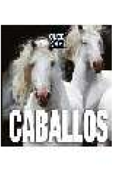 Caballos. Cube Book