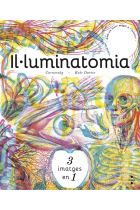 Il·luminatomia