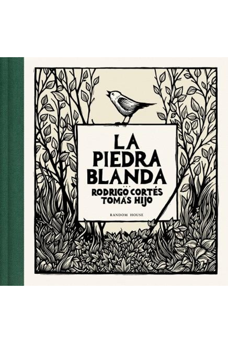 La piedra blanda
