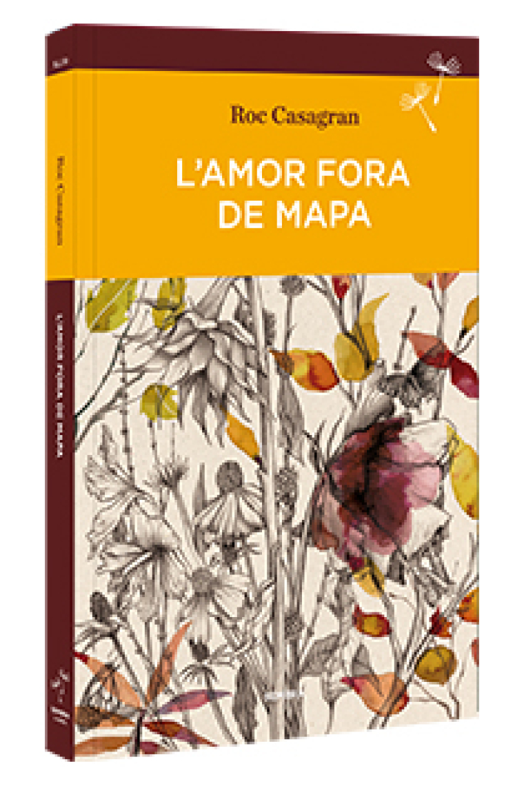 L'amor fora de mapa