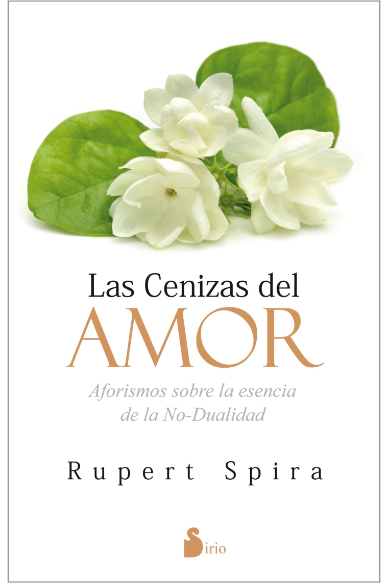 Las cenizas del amor