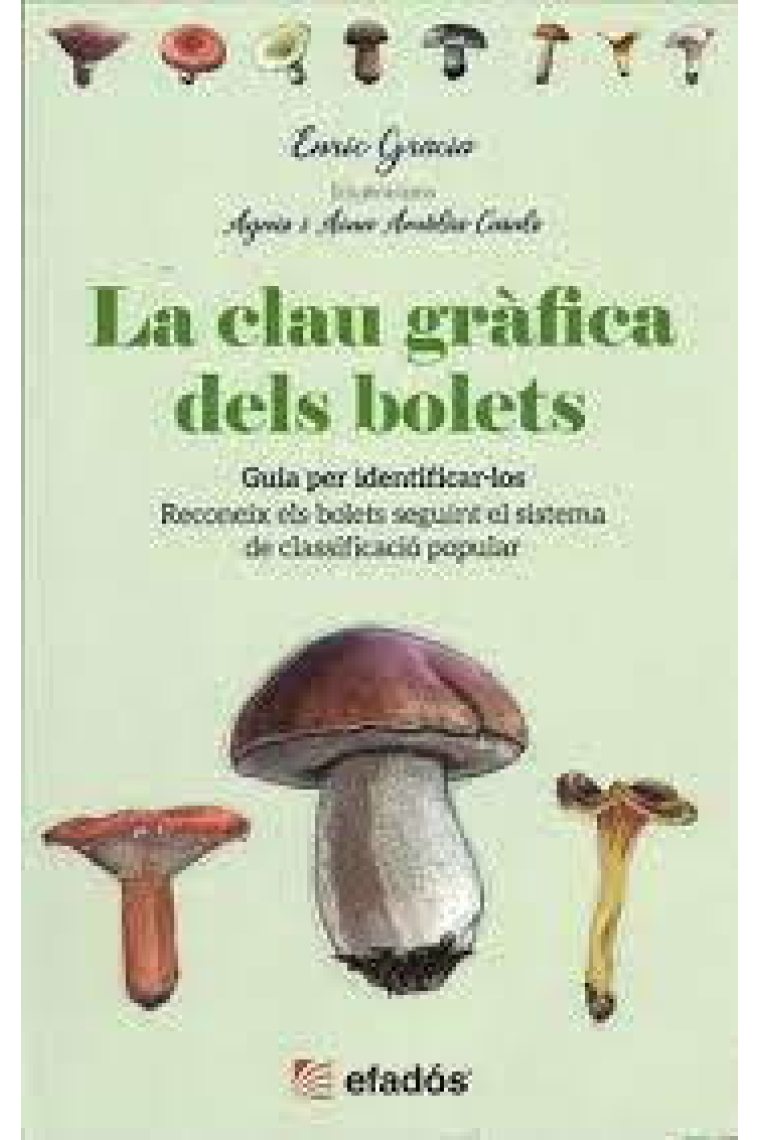 CLAU GRAFICA DELS BOLETS,LA