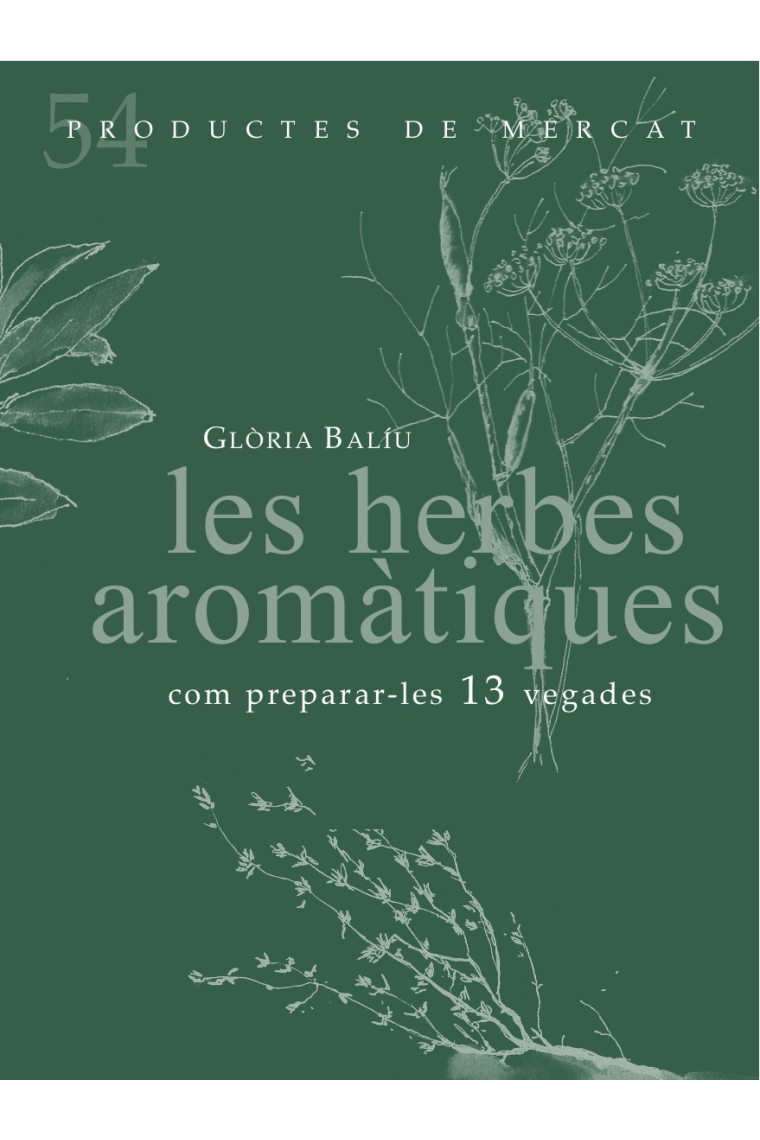 Les herbes aromàtiques. Com preparar-les 13 vegades