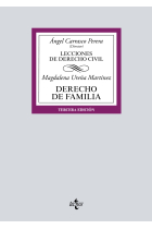 Derecho de Familia. Lecciones de Derecho Civil (6ª edición 2022)