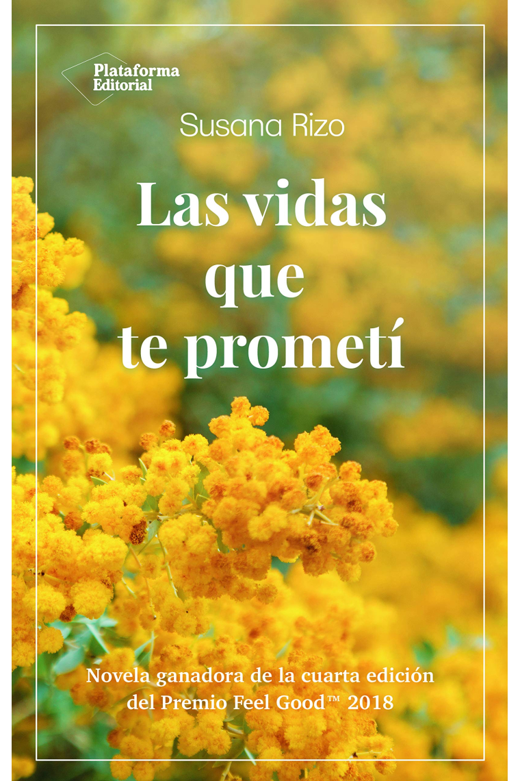 Las vidas que te prometí