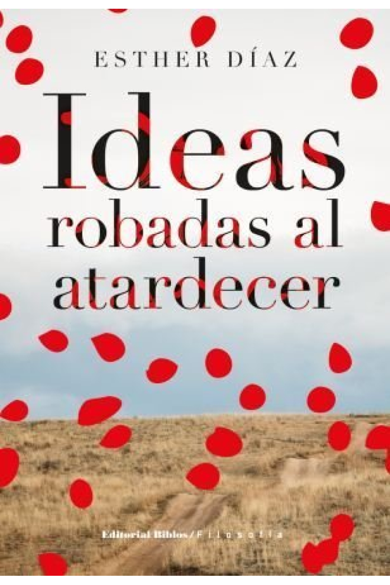 Ideas robadas al atardecer