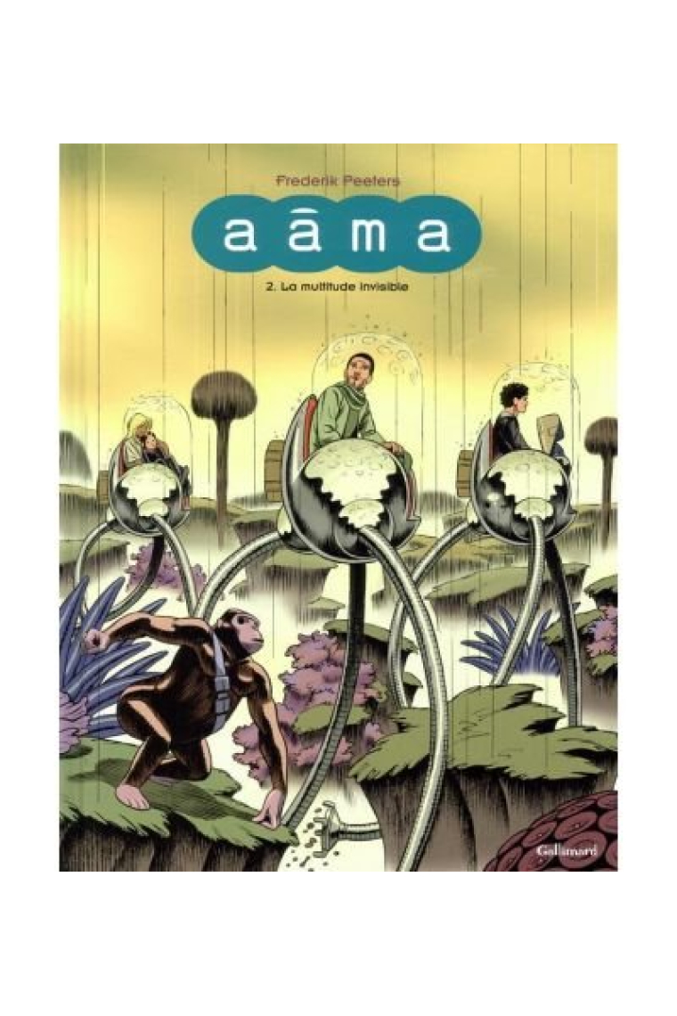 AAMA T2