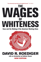 The Wages of Whiteness: Race and the Making of the American Working Class (Haymarket)