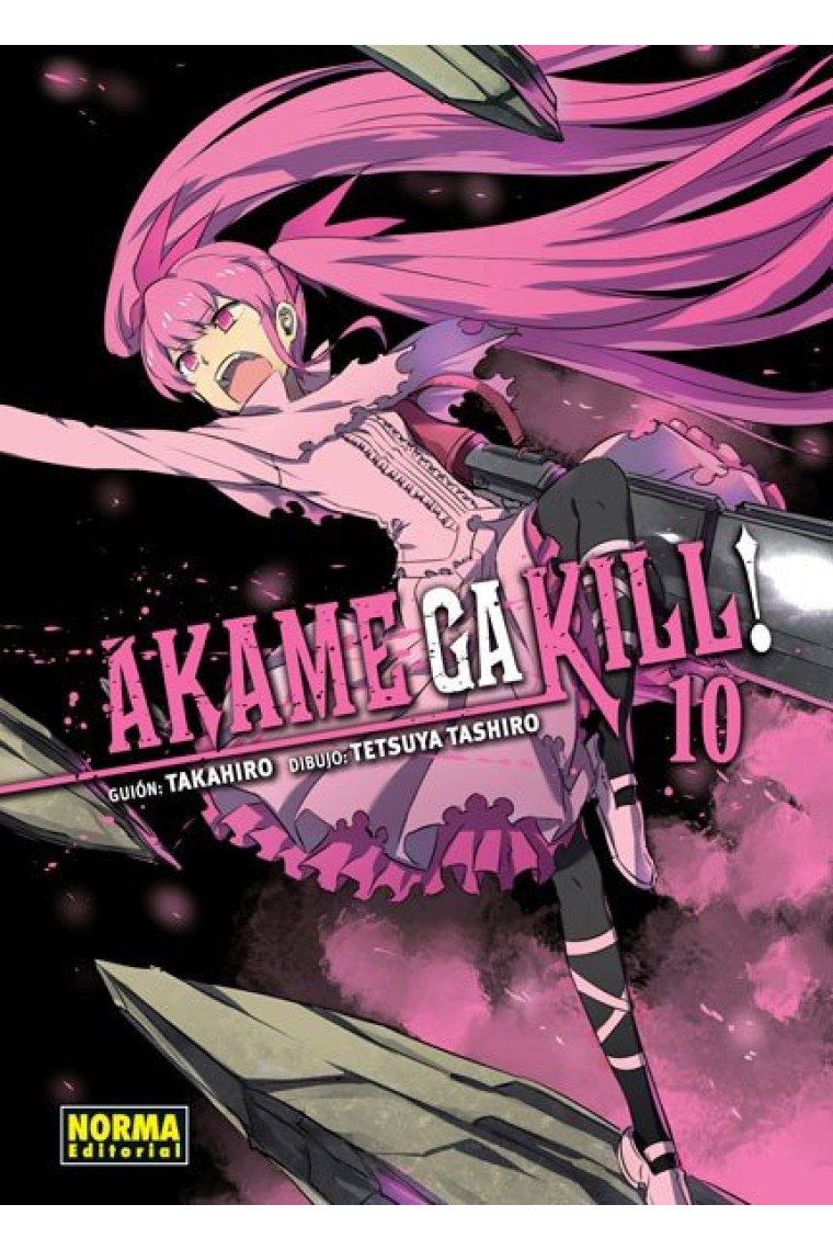 Akame ga kill! 10