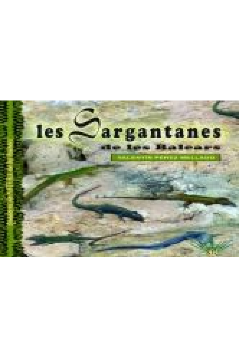 Les sargantanes de les balears