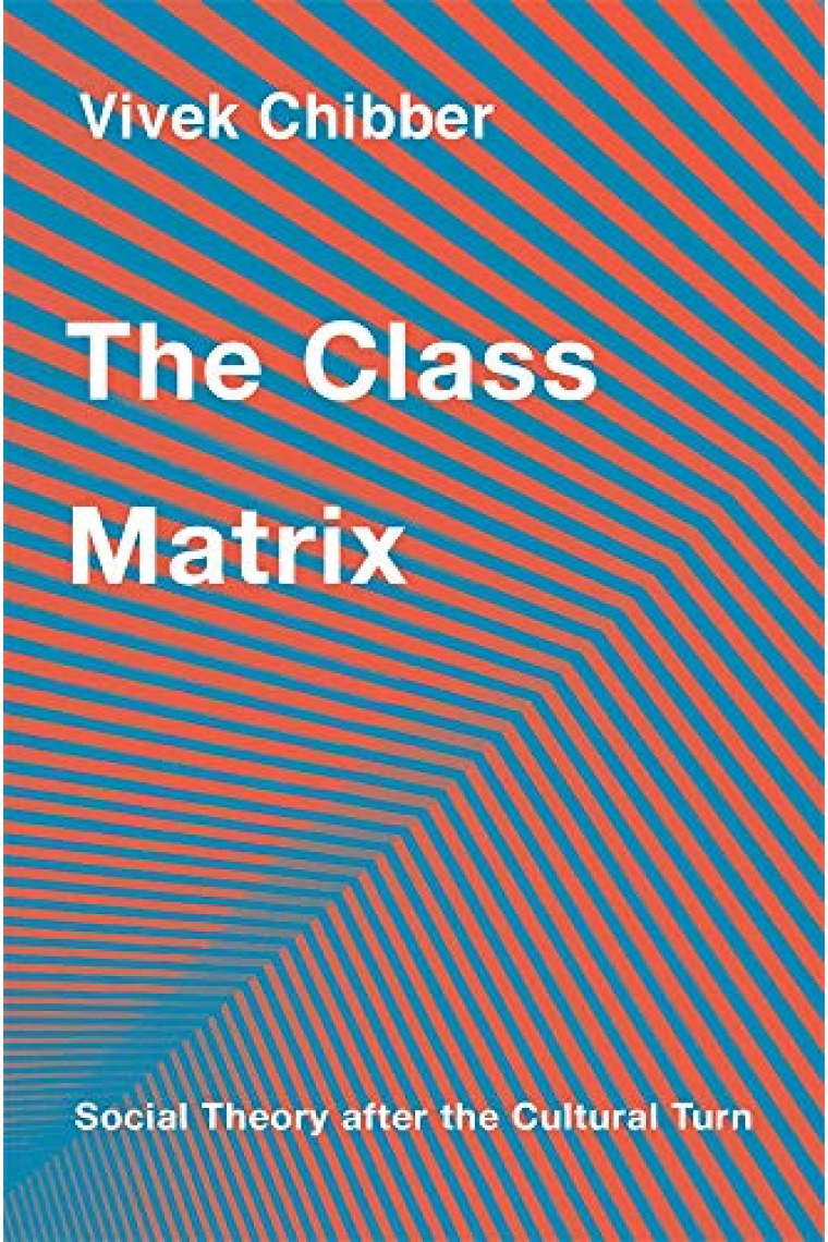 The Class Matrix: Social Theory after the Cultural Turn