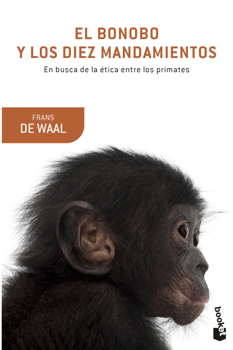 El bonobo y los diez mandamientos