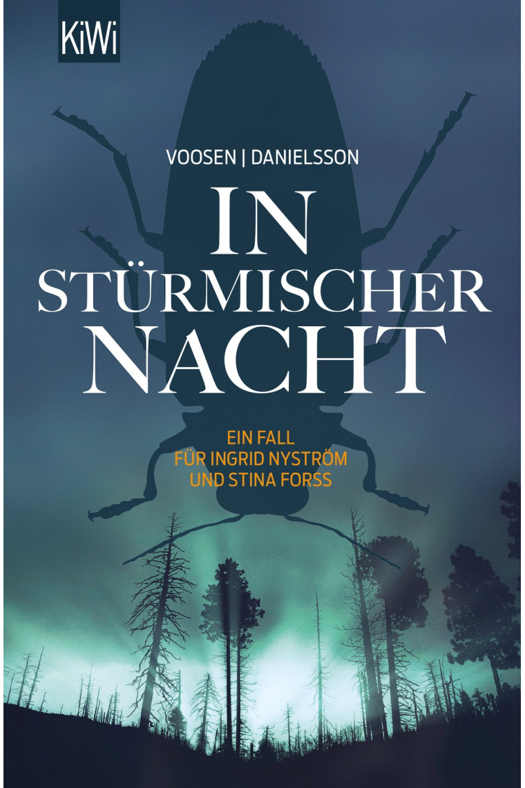 In stürmischer Nacht: Ein Fall für Ingrid Nyström und Stina Forss, 4