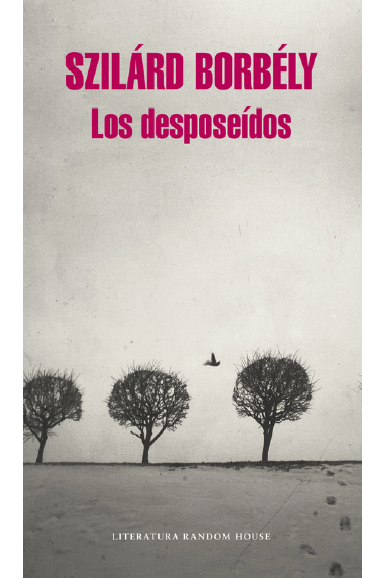 Los desposeídos