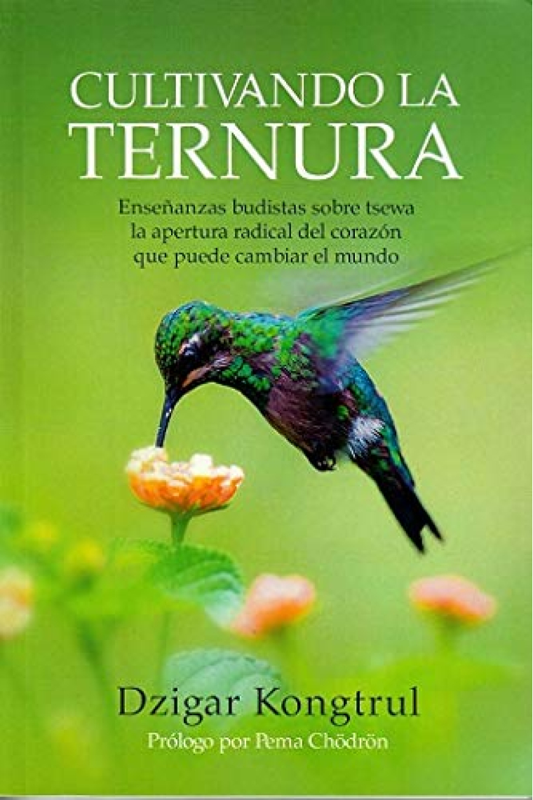 Cultivando la ternura : enseñanzas budistas sobre tsewa la apertura radical del corazón que puede cambiar el mundo