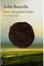 Les singularitats