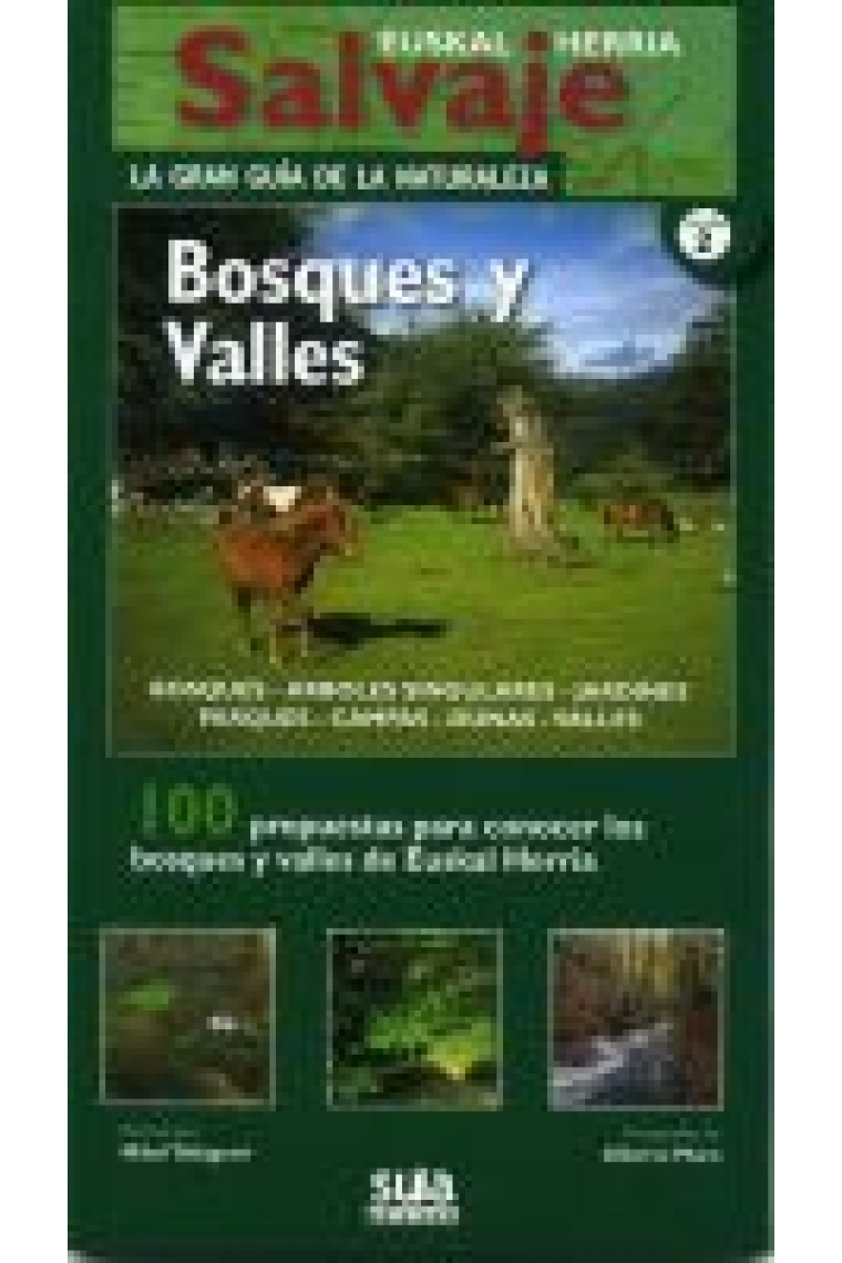 Bosques y valles