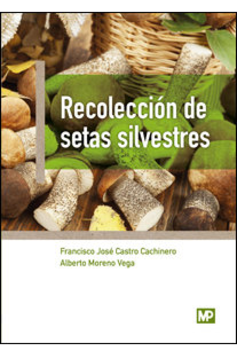 Recolección de setas silvestres