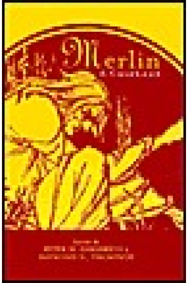 Merlin: a casebook