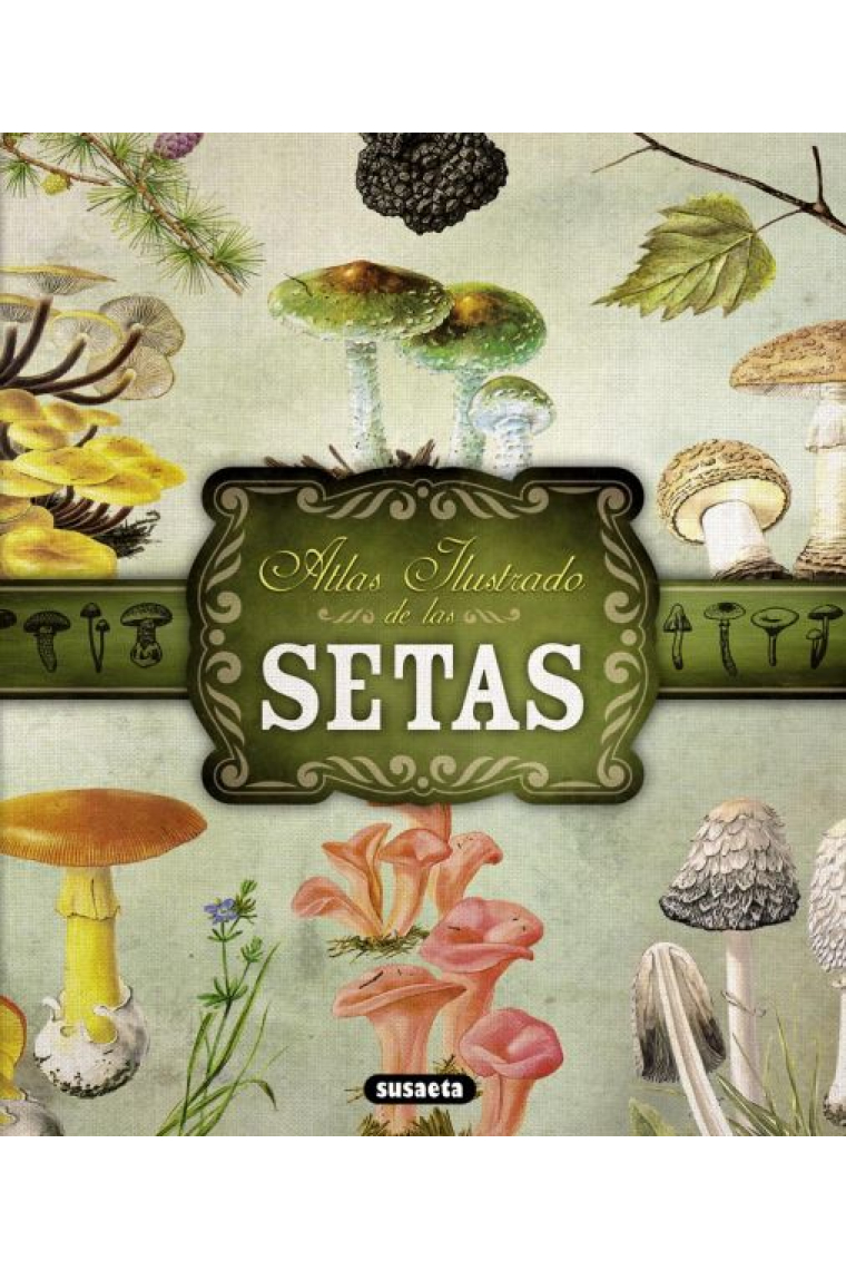 Atlas ilustrado de las Setas