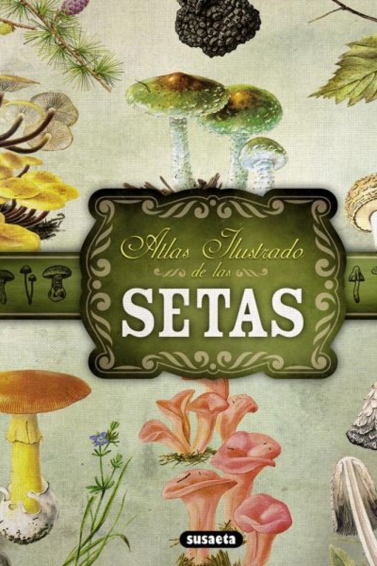 Atlas ilustrado de las Setas