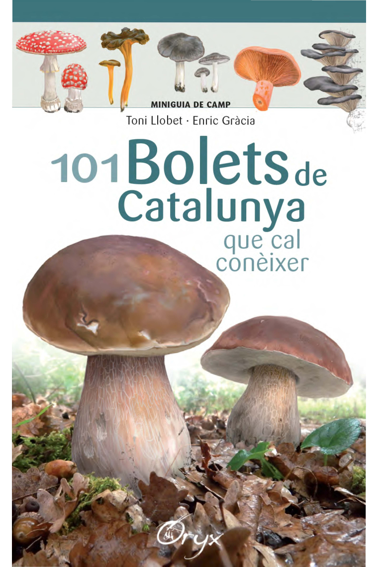 101 bolets de Catalunya. Que cal conèixer (Miniguia de camp)