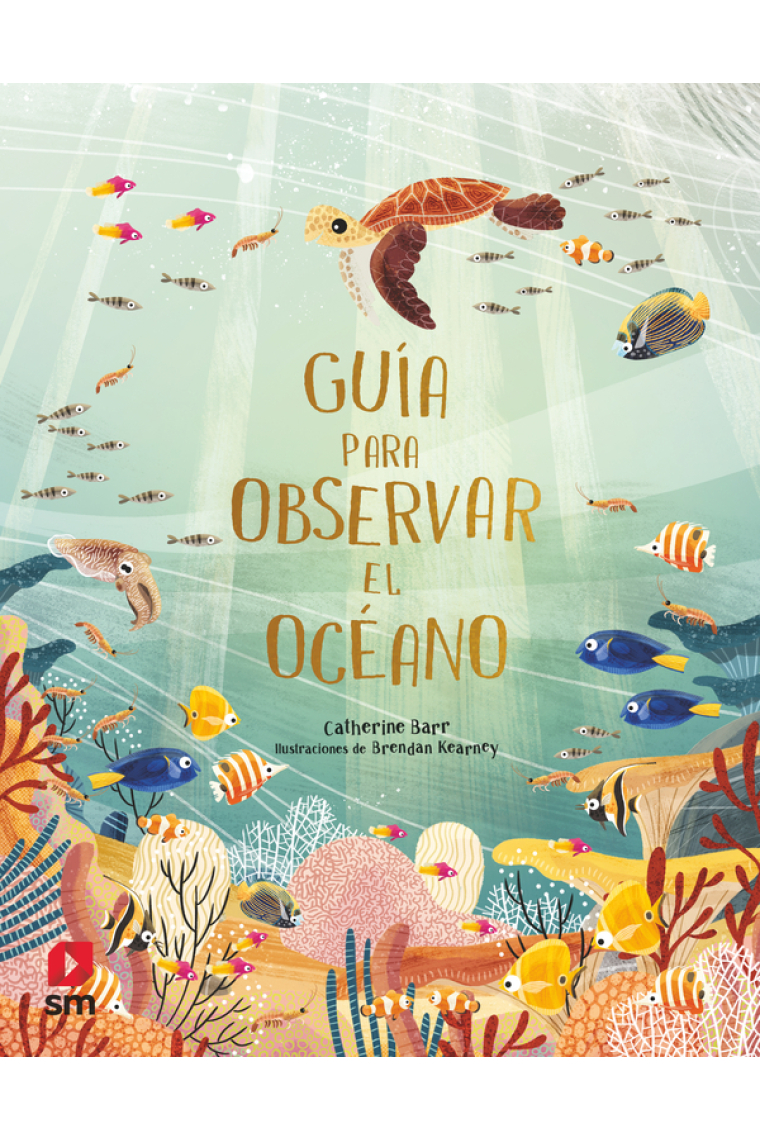 Guía para observar el océano