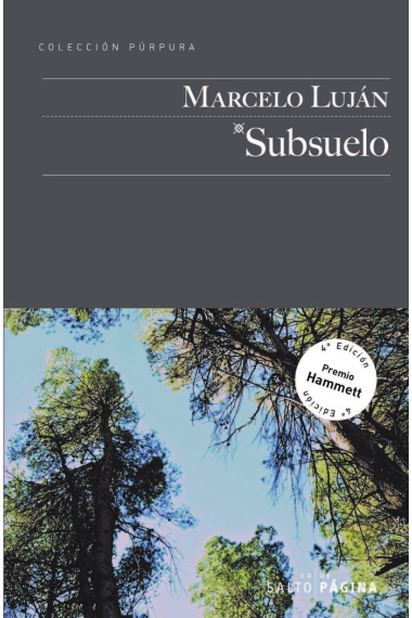 SUBSUELO