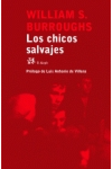 Los chicos salvajes