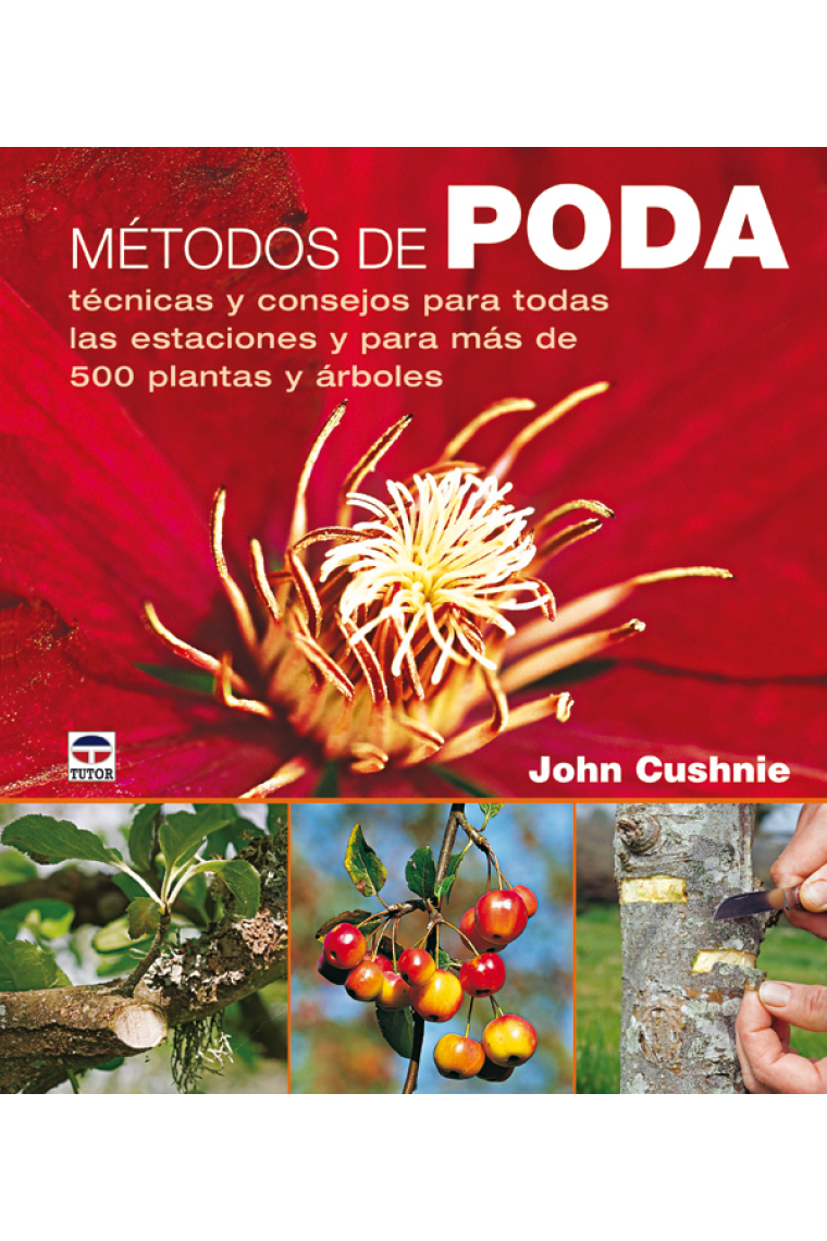 Métodos de poda